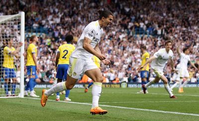 Pascal Struijk late goal against Brighton earns Leeds vital draw in safety scrap