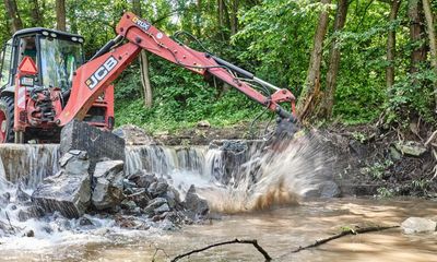 Record number of dams removed from Europe’s rivers in 2021