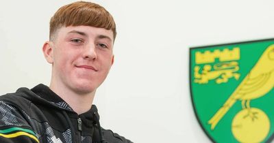 Norwich City left-back Sean Stewart given chance to impress Ian Baraclough at NI training camp