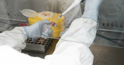 Post-weekend COVID cases stay low as hospitalisations remain steady