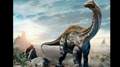 First-of-its-kind in Uttar Pradesh, Natural History Museum to come up in March 2023