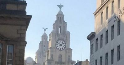 Areas of Liverpool with highest levels of toxic air