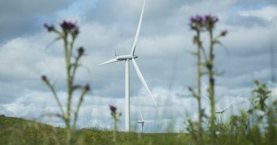 Onshore wind contributes £106m in rates to Scotland’s economy