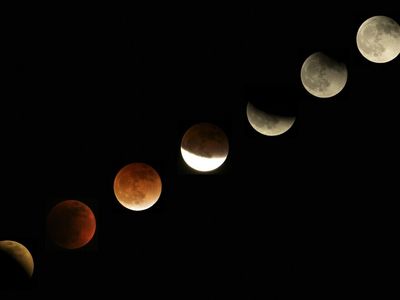 Did you see the Super Flower Blood Moon last night? It was stunning