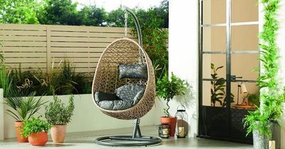 Aldi's £190 Specialbuy hanging egg chair is back in stock