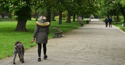 Should dogs be kept on leads in parks? Have your say