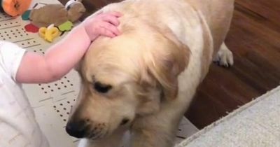 Dog owner's warning after 'big stretch' turned out to be early sign of cancer