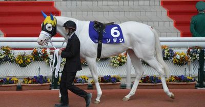 Crowd goes wild as rare white 'unicorn' horse storms to victory in £1.7 million race