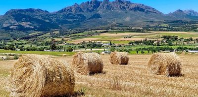 Land reform in South Africa: what the real debate should be about