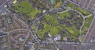 Two dogs seized after 80-year-old man and his pet attacked in park