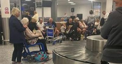 Travel chaos with airport passengers forced to wait up to three hours to collect luggage