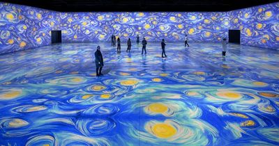 Van Gogh RDS show review: Does the audio visual experience live up to the hype?