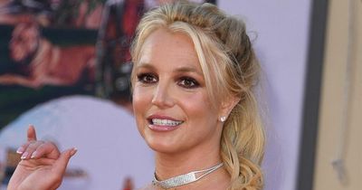 Fans praise Britney Spears for breaking 'stigma' of 12-week rule after star opens up about miscarriage