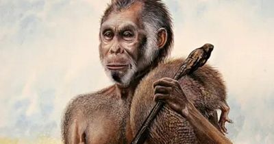 Ancient human species might not be extinct after all, insists expert