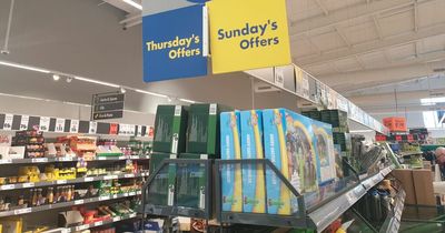 'I shopped Lidl's middle aisle this weekend and found summer items for less than £20 - my top five picks'