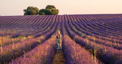 Travelling to Spain this summer? The one activity every tourist should add to their list