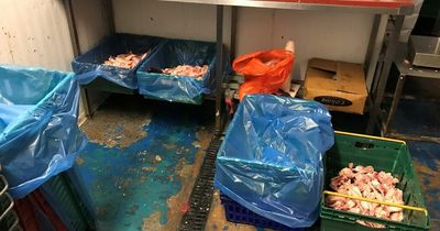 Filthy and illegal chicken factory shut down as inspectors find horrific conditions