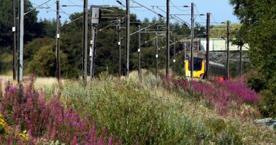 Railway disruption as person dies after being struck by a train at Cramlington station