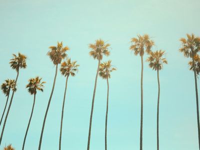 Eliminating Cultivation Tax Could Double California's Monthly Cannabis Tax Revenue By 2024, According To New Study