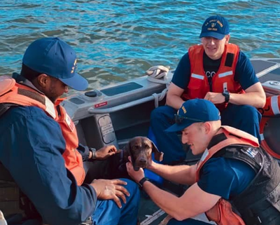 Coast Guard rescues dog swimming across a lagoon in North Carolina