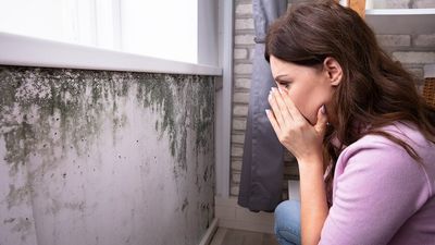 How to remove mould from your home and how to stop it from growing in this humidity