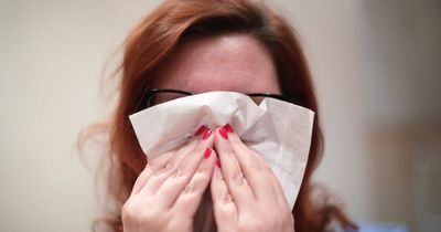 How to tell the difference between hay fever and Covid-19