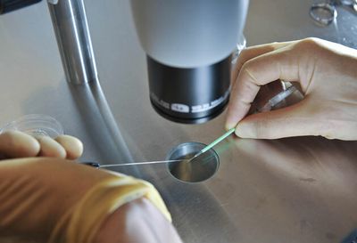 ‘People were extremely stressed and anxious’: IVF treatment through NHS plummets by 7% in pandemic
