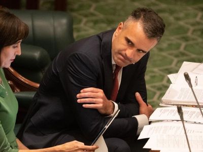 Libs seek to cut SA COVID-19 penalties