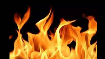 Delhi: Fire in plastic factory at Narela, no casualty