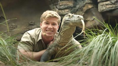 Robert Irwin On His Wiggles Performance, Becoming Mates With Paris Hilton His Wholesome Image