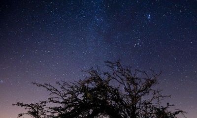 Light pollution falling amid soaring energy prices, star survey finds