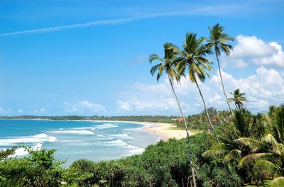 Tui cancels Sri Lanka holidays following change in Foreign Office advice