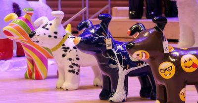 St Oswald's Hospice to hold third art trail around Newcastle