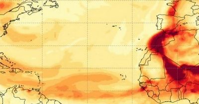Saharan dust to hit UK this week with wet weather turning into 'blood rain'