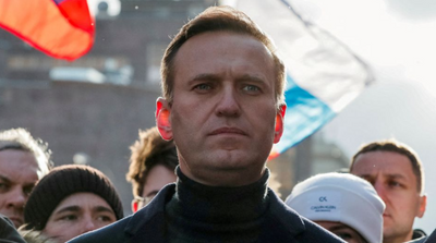 Kremlin Critic Navalny Appeals against Nine-year Jail Sentence