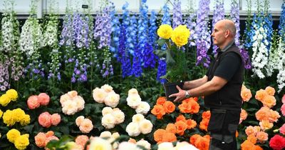 When is Chelsea Flower Show - and how can you get tickets?