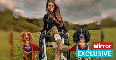 'My super dogs are changing the way children see people with disabilities'
