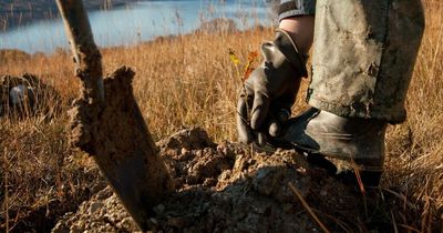 Forestry and Land Scotland calls for private backers for woodland creation and peatland restoration