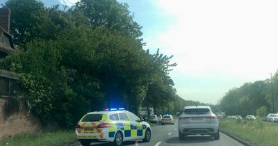 Crash involving eight vehicles causes morning rush-hour disruption on Central Motorway in Newcastle
