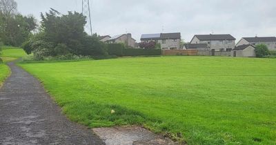 Chatty bench stolen from Co Antrim park