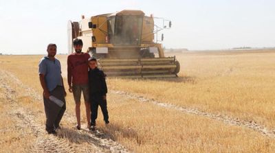 Damascus, Rojava Race over Jazeera's Wheat Crops