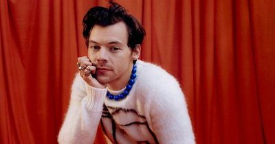 Mums 'combust' as Harry Styles set to read CBeebies Bedtime Story