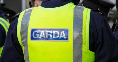 Four arrested over drug-related intimidation in Dublin as gardai issue warning