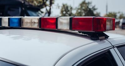 South Dublin woman killed by car fleeing police in Texas