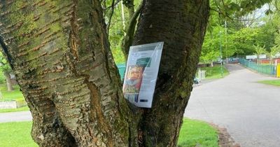 Free copies of Lenny Henry's children's book hidden around Greater Manchester as part of library festival