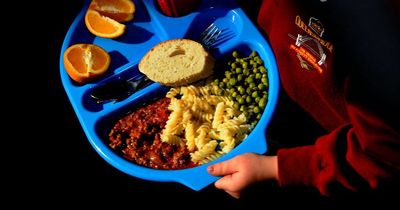 Schools may be forced to reduce lunch portion sizes for lunches due to rising food prices