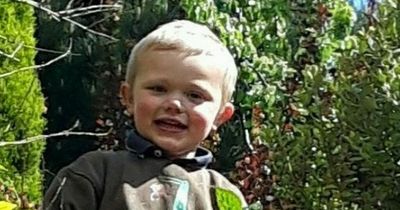 Tot killed in dog attack pictured as family pay tribute to 'happy little boy'