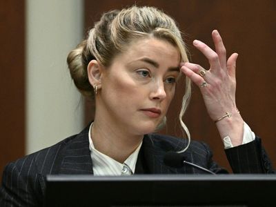 Amber Heard cross-examined about her domestic violence arrest while dating Tasya Van Ree in 2009
