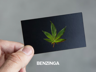 Getting Your Cannabis Business ID Card is the First Step in Starting Your New Jersey Cannabis Career. Here's How to Do It.