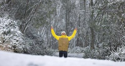 'Nice and crisp and bright': Sub-zero temps and snow ahead for region